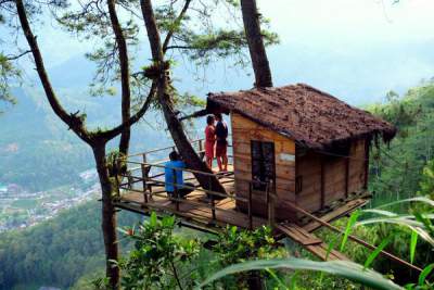 Penginapan Rumah  Pohon Omah Kayu Paralang Batu Malang 