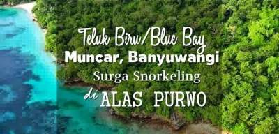 Teluk Biru Muncar Banyuwangi Harga Tiket Dan Sewa Perahu