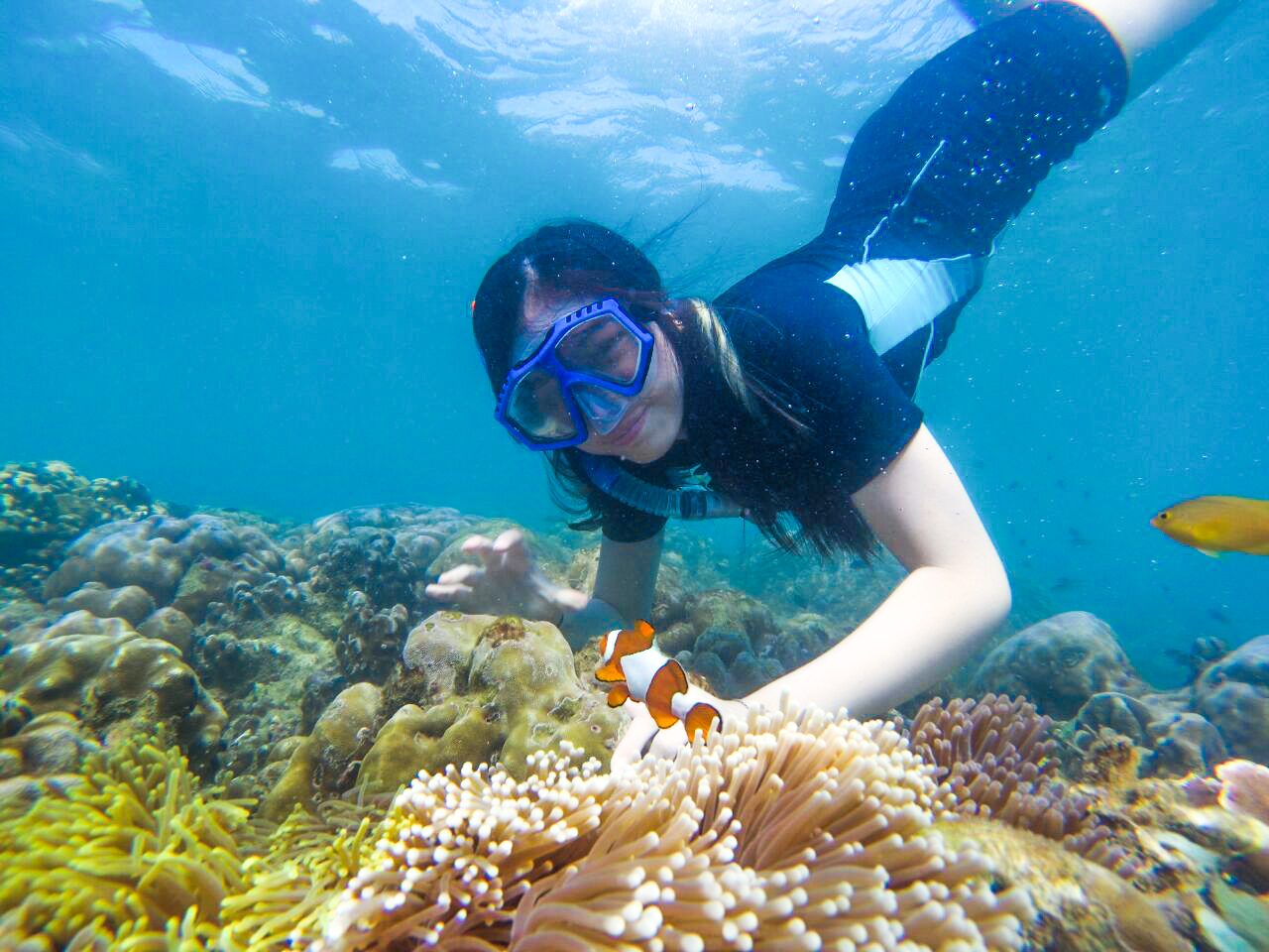 Snorkeling Gili Ketapang Probolinggo, Paket Wisata & Harga
